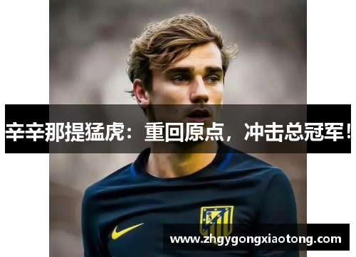 辛辛那提猛虎:重回原点,冲击总冠军!